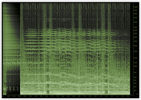 slideshow_2D-spectrogram_detail.png
